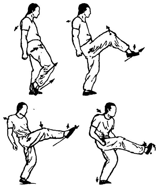 Да-цзе-шу — искусство пресечения боя pic198.png