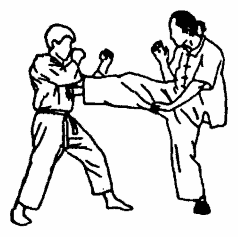 Да-цзе-шу — искусство пресечения боя pic204.png
