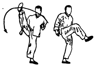 Да-цзе-шу — искусство пресечения боя pic220.png
