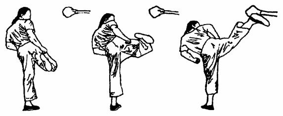 Да-цзе-шу — искусство пресечения боя pic235.png