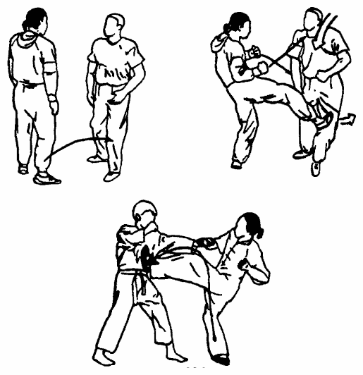 Да-цзе-шу — искусство пресечения боя pic236.png