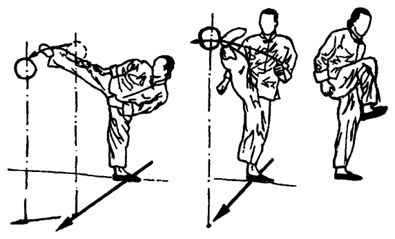Да-цзе-шу — искусство пресечения боя pic239.png