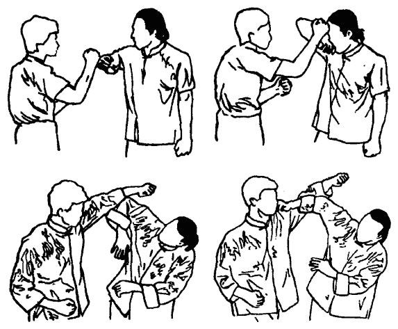 Да-цзе-шу — искусство пресечения боя pic244.png