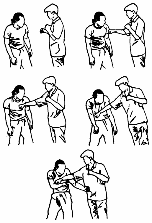 Да-цзе-шу — искусство пресечения боя pic261.png