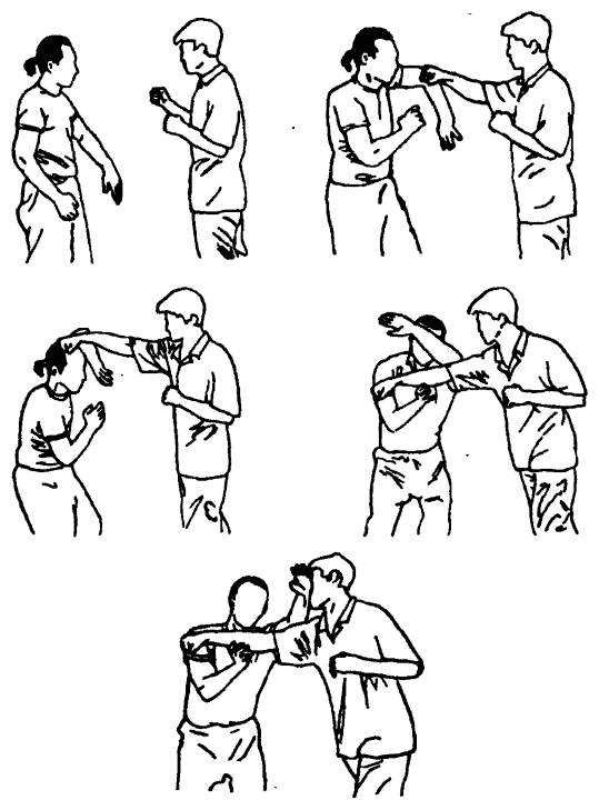 Да-цзе-шу — искусство пресечения боя pic262.png