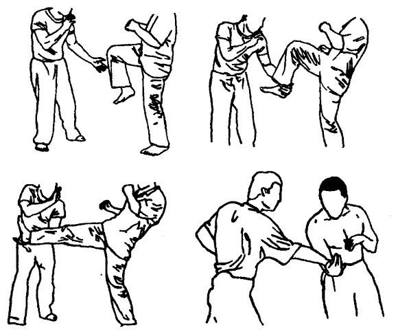 Да-цзе-шу — искусство пресечения боя pic263.png