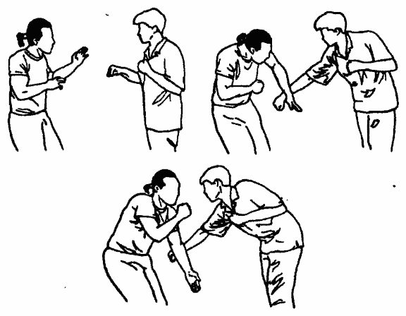 Да-цзе-шу — искусство пресечения боя pic268.png