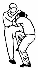 Да-цзе-шу — искусство пресечения боя pic284.png