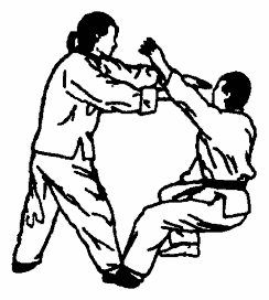 Да-цзе-шу — искусство пресечения боя pic290.png