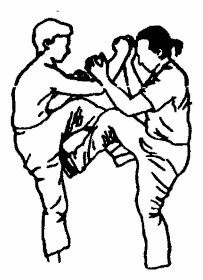 Да-цзе-шу — искусство пресечения боя pic294.png