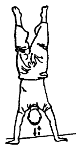 Да-цзе-шу — искусство пресечения боя pic298.png