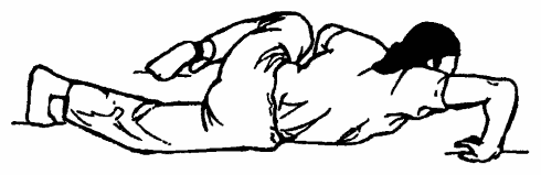 Да-цзе-шу — искусство пресечения боя pic299.png
