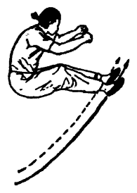 Да-цзе-шу — искусство пресечения боя pic313.png