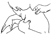 Восточный массаж i_205.png