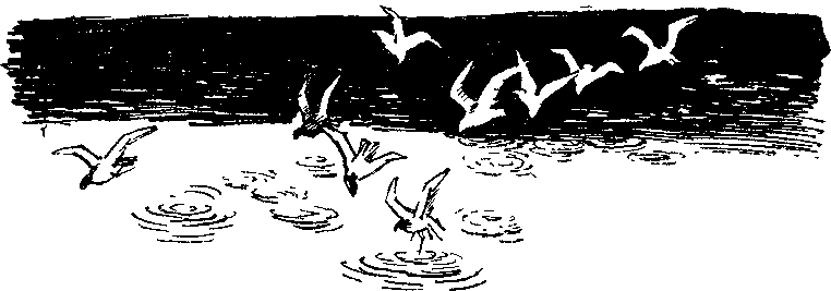 Пора забот i_010.png