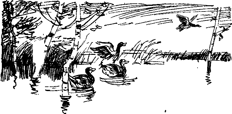 Пора забот i_007.png