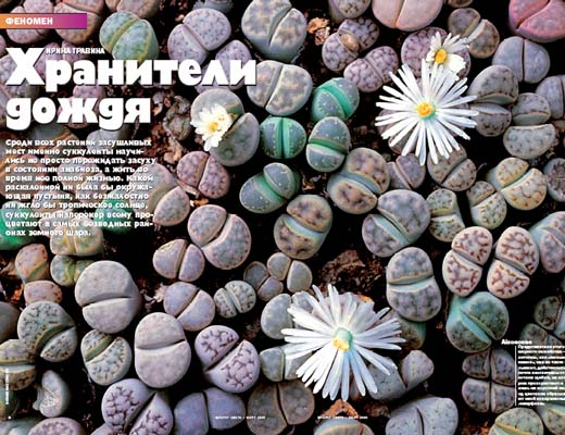 Журнал «Вокруг Света» № 3 за 2005 год any2fbimgloader0.jpeg