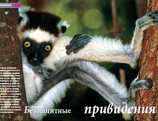 Журнал «Вокруг Света» № 3 за 2005 год any2fbimgloader17.jpeg