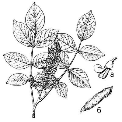 Большая Советская Энциклопедия (МА) i009-001-229459515.jpg