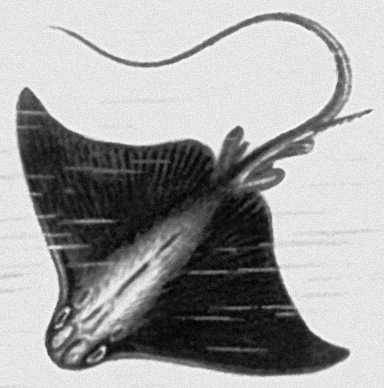 Большая Советская Энциклопедия (ОР) i010-001-278826643.jpg