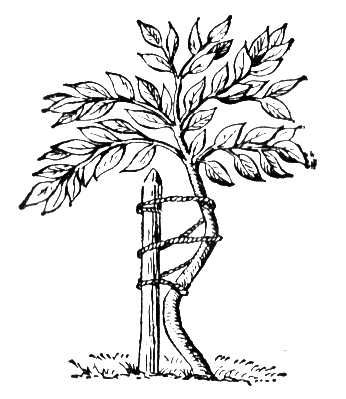 Большая Советская Энциклопедия (ОР) i009-001-226857702.jpg