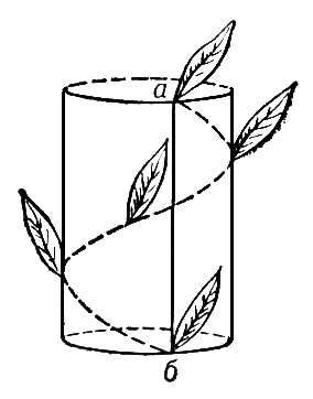 Большая Советская Энциклопедия (ОР) i010-001-253706319.jpg