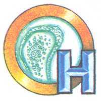 Увиденное невидимое i_047.jpg