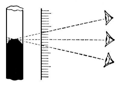 Большая Советская Энциклопедия (ПА) i009-001-223025343.jpg