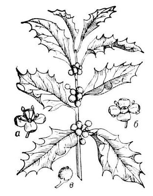 Большая Советская Энциклопедия (ПА) i009-001-222663568.jpg