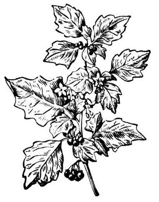 Большая Советская Энциклопедия (ПА) i009-001-204268637.jpg