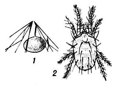 Большая Советская Энциклопедия (ПА) i010-001-276531047.jpg