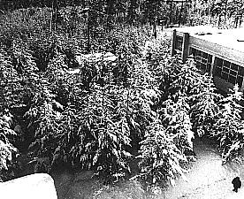 Истерия СССР doc2fb_image_02000029.jpg