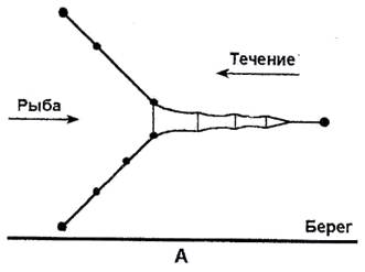 Щука. Все способы ловли i_050.jpg