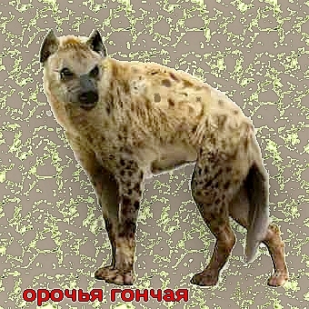 Игра не по правилам i_017.jpg