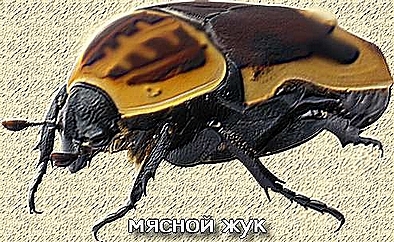 Игра не по правилам i_079.jpg