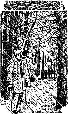 Святые Горы (сборник) i_021.png
