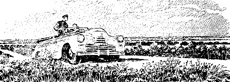 Просчет мистера Бергоффа (с иллюстрациями) i_001.jpg