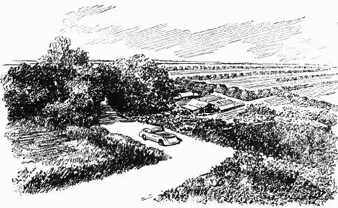 Просчет мистера Бергоффа (с иллюстрациями) i_006.jpg