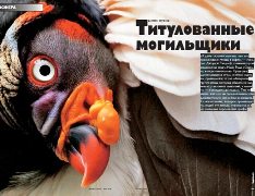 Журнал «Вокруг Света» № 5 за 2005 год any2fbimgloader42.jpeg