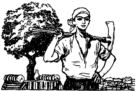 Неугомонный Носир i_002.png