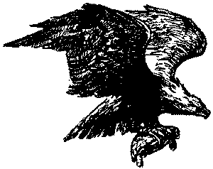 Неугомонный Носир i_009.png
