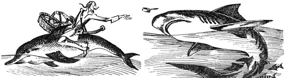Клуб знаменитых капитанов. Книга 2 pic_60.jpg