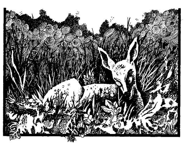 Сказки сельвы. Анаконда any2fbimgloader12.jpeg