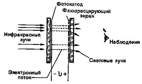 Жизнь и мечта _30.jpg