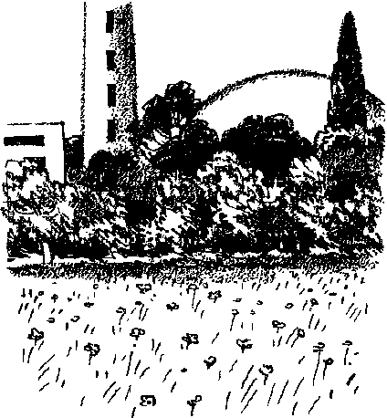 Трансгалантичний розвідник Untitled10.png