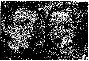 Аойя rsl01002921844__003.png