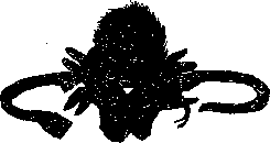 Аойя rsl01002921844__008.png