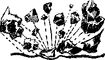 Аойя rsl01002921844__070.png