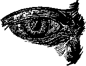 Аойя rsl01002921844__082.png