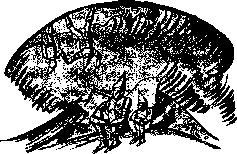 Аойя rsl01002921844__085.png